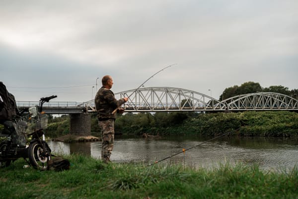 Odra je na hraně. K lepšímu stavu řeky nepomůže ani čistší voda